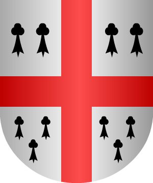 ESCUDO ALEATORIO