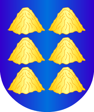 ESCUDO SIGUIENTE