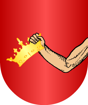 ESCUDO ALEATORIO