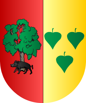 ESCUDO ALEATORIO