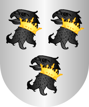 ESCUDO ALEATORIO