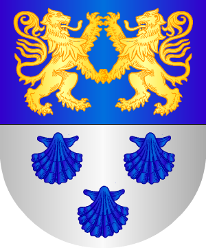 ESCUDO ALEATORIO