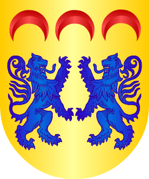 ESCUDO ALEATORIO