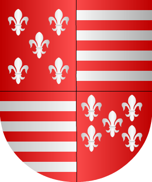 ESCUDO SIGUIENTE