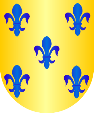 ESCUDO ALEATORIO