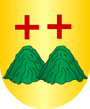 ESCUDO ALEATORIO