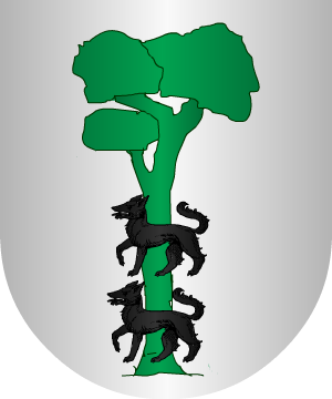 ESCUDO ALEATORIO