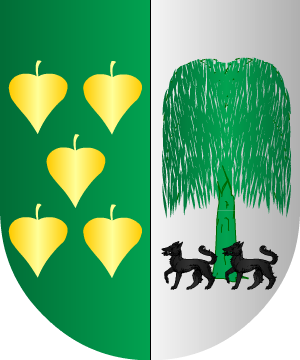 ESCUDO SIGUIENTE