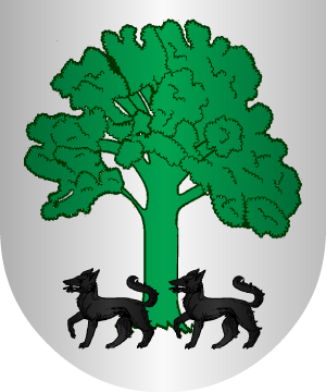 ESCUDO ALEATORIO