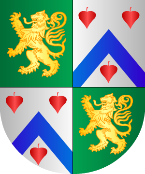 ESCUDO ALEATORIO