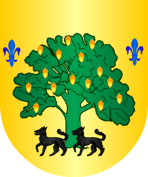 ESCUDO SIGUIENTE
