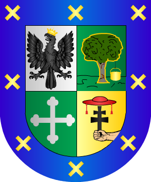 ESCUDO PRECEDENTE