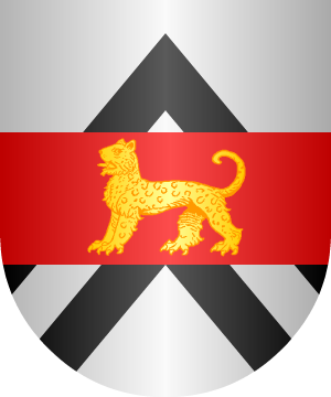 ESCUDO ALEATORIO