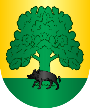 ESCUDO ALEATORIO