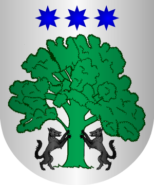 ESCUDO SIGUIENTE