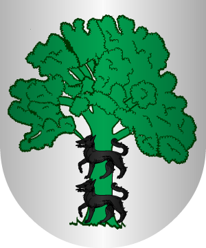 ESCUDO ALEATORIO