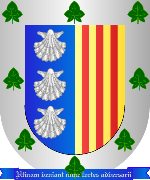 ESCUDO SIGUIENTE