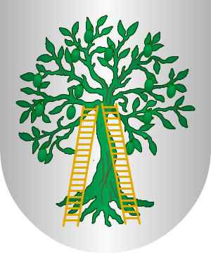 ESCUDO ALEATORIO