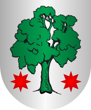 ESCUDO SIGUIENTE