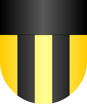 ESCUDO ALEATORIO