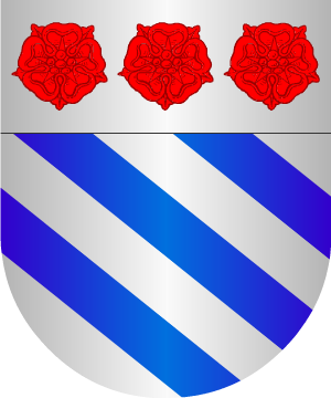 ESCUDO ALEATORIO