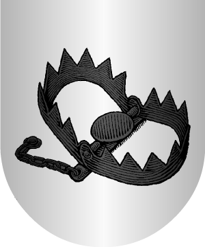ESCUDO ALEATORIO