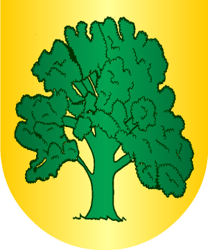 ESCUDO PRECEDENTE