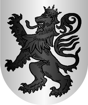 ESCUDO ALEATORIO
