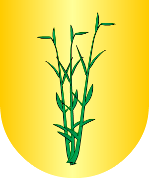 ESCUDO SIGUIENTE