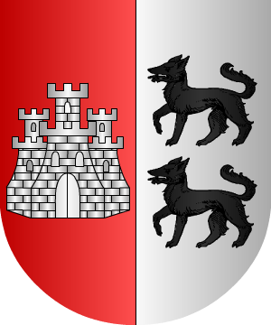 ESCUDO SIGUIENTE