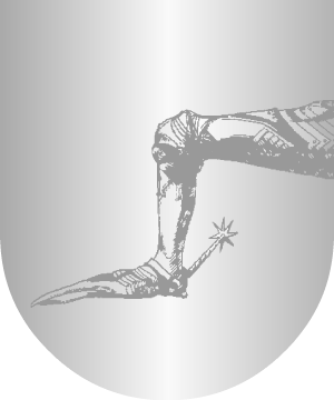 ESCUDO SIGUIENTE
