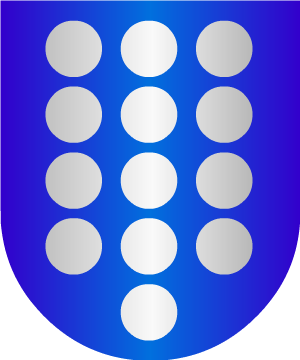 ESCUDO ALEATORIO