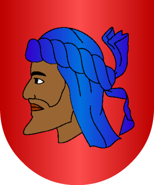 ESCUDO ALEATORIO