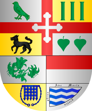 ESCUDO ALEATORIO