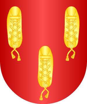 ESCUDO ALEATORIO