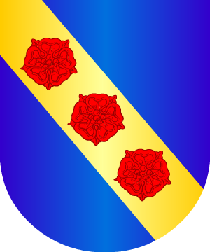 ESCUDO ALEATORIO