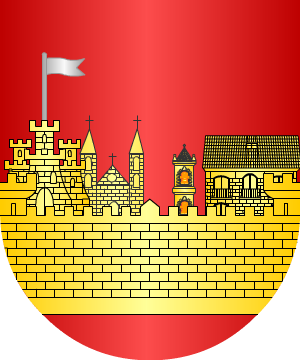 ESCUDO ALEATORIO