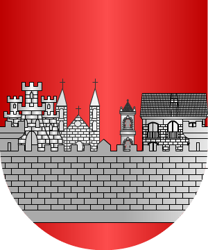 ESCUDO ALEATORIO