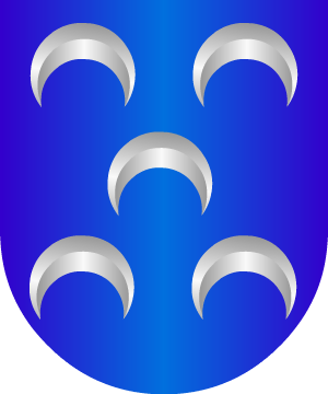 ESCUDO ALEATORIO