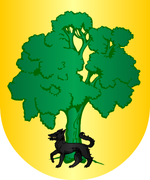 ESCUDO ALEATORIO