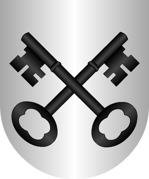 ESCUDO ALEATORIO
