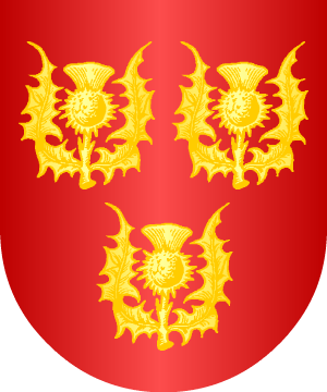 ESCUDO SIGUIENTE