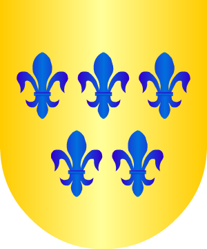 ESCUDO SIGUIENTE