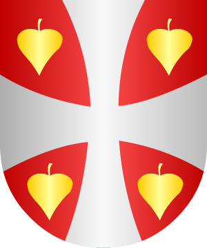ESCUDO SIGUIENTE