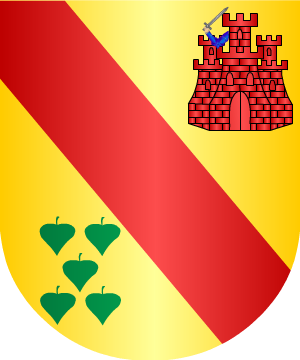 ESCUDO ALEATORIO