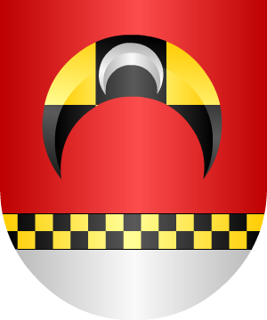 ESCUDO SIGUIENTE
