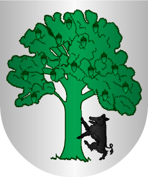 ESCUDO PRECEDENTE