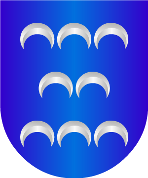 ESCUDO ALEATORIO