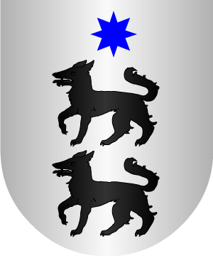 ESCUDO ALEATORIO