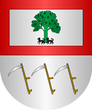 ESCUDO ALEATORIO